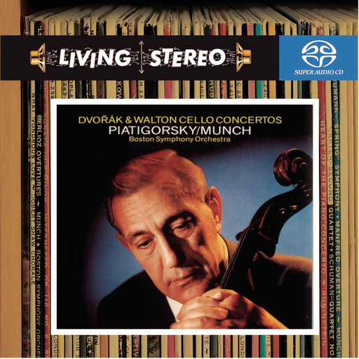 妓女毛茸茸茸茸户外妓女
